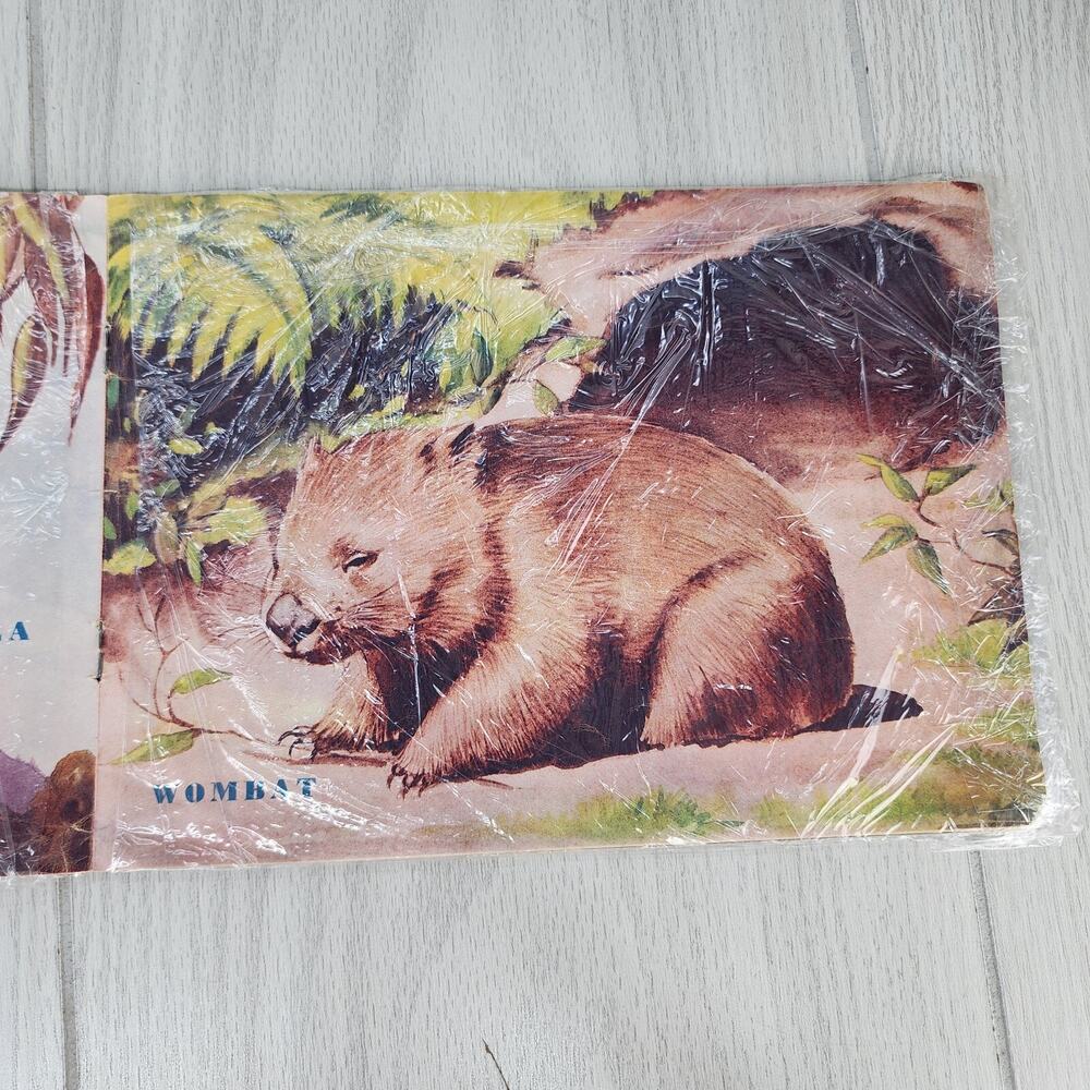 Vintage 1953 Australian Animals Children’s Book Photograpatures Illustrated - Picture 9 of 16